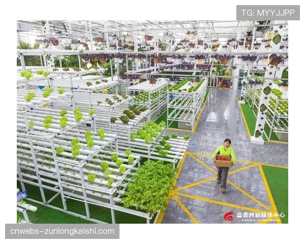 探访沈阳新主场:揭秘“智慧球馆”背后的5G专网与物联网部署 探访沈阳新主场:揭秘“智慧球馆”背后的5G专网与物联网部署